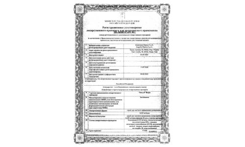 Сертификат 1