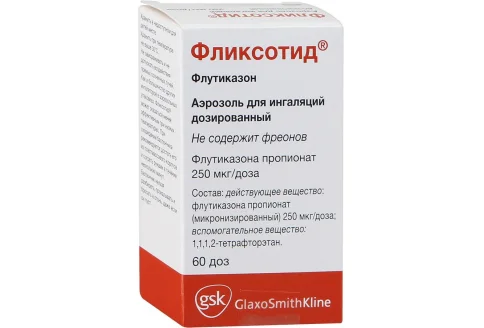 Фликсотид, аэрозоль для инг доз 125мкг/доз 60ДОЗ