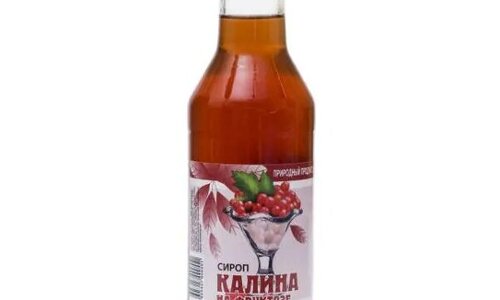 Сироп Калины сироп на фруктозе 250мл