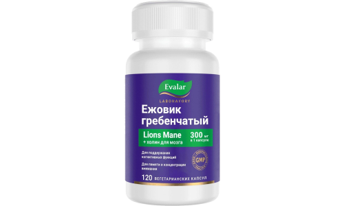 Ежовик гребенчатый капс №120