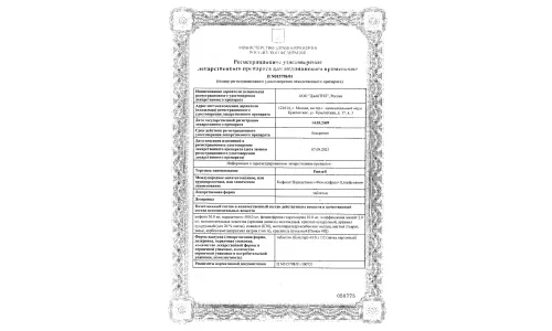 Сертификат 1