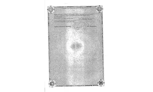 Сертификат 2