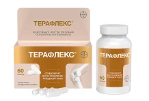 Терафлекс, капсулы 500мг+400мг №60