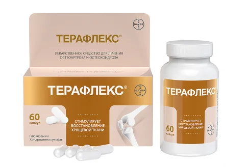 Терафлекс, капсулы 500мг+400мг №60