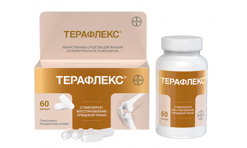 Терафлекс, капсулы 500мг+400мг №60