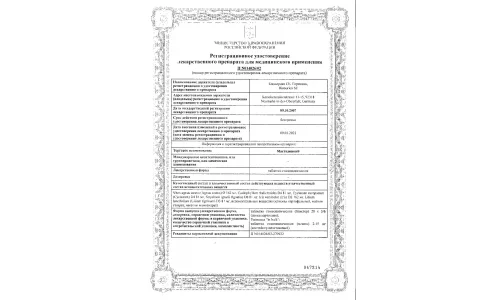 Сертификат 1