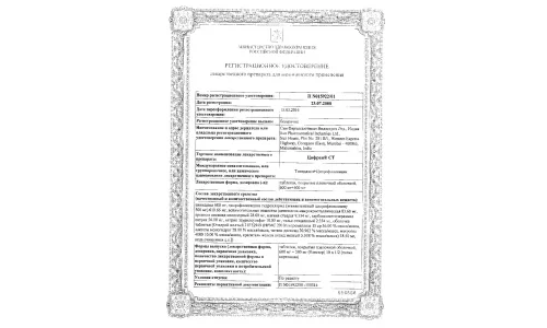 Сертификат 1