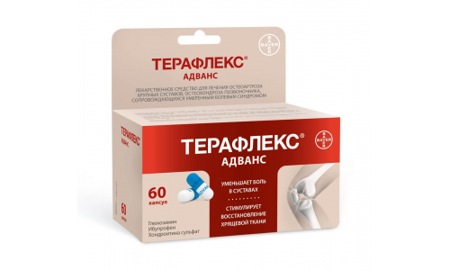 Терафлекс Адванс, капсулы №60