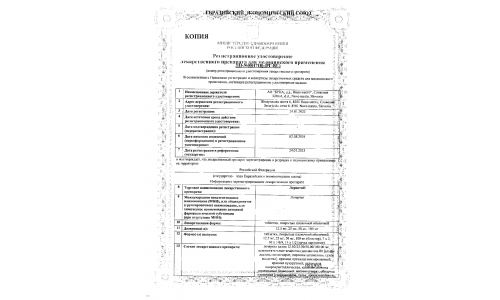 Сертификат 1