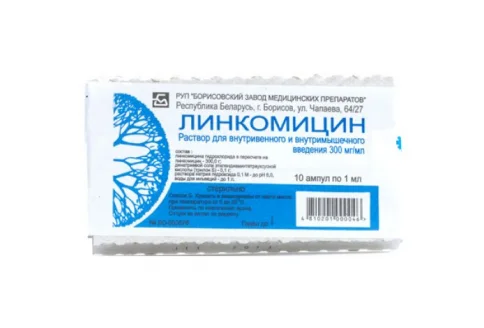 Линкомицин, раствор для инфуз и в/в введ 300мг/мл 1мл №10