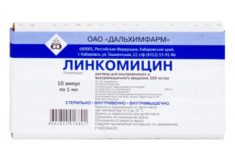 Линкомицин, раствор для в/в и в/м введ 300мг/мл 1мл №10