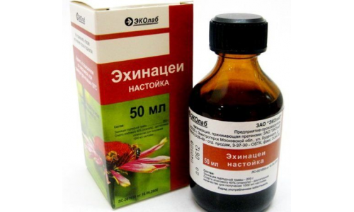 Эхинацея настойка фл 50мл