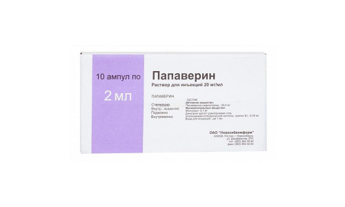 Папаверин, р-р д/ин 20мг/мл 2мл №10
