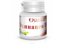 Эхинацея П, таблетки №100